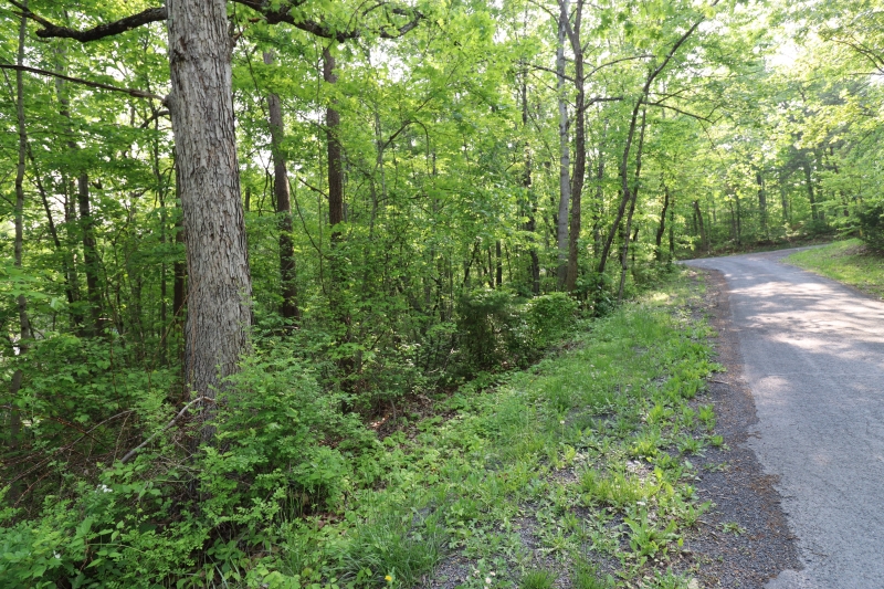 road terrain next to a property