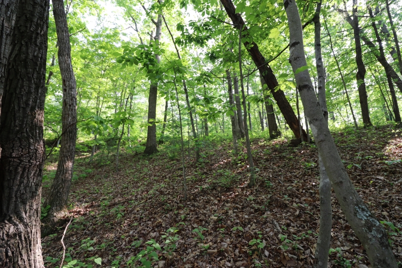 steep grade on a property next to a road