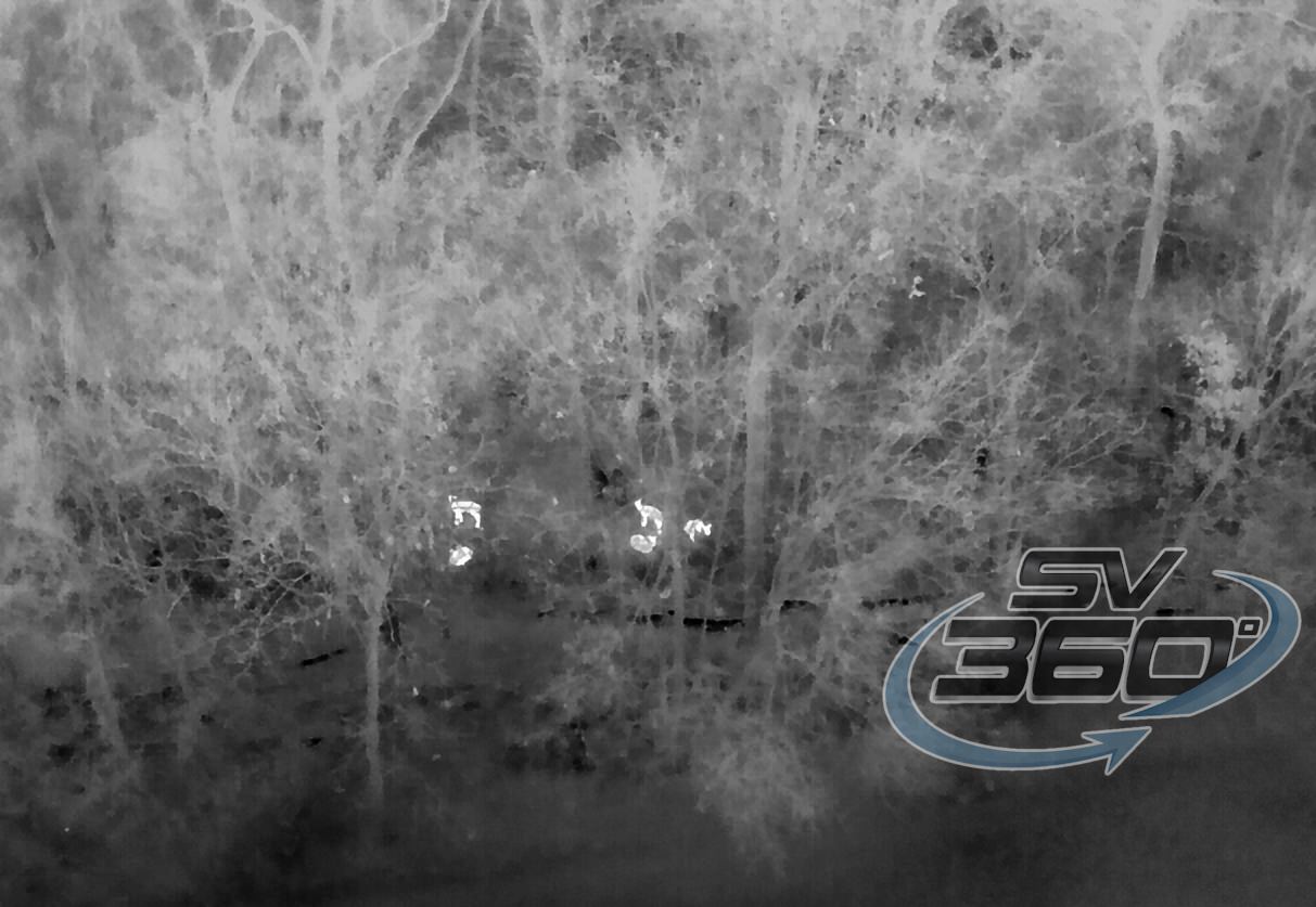 deer via thermal imaging from the air